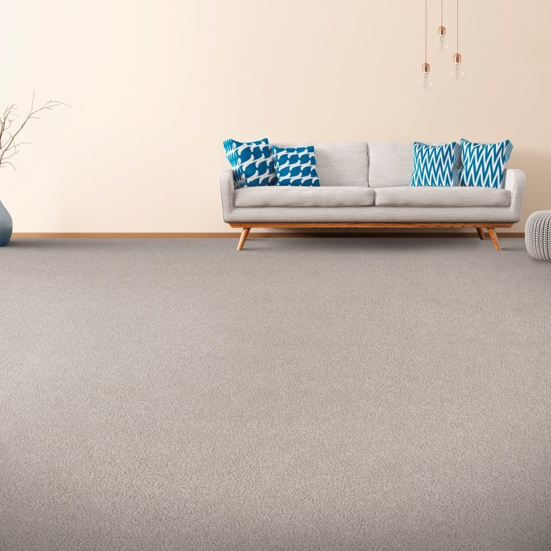 Carpets Unlimited providing stain-resistant pet proof carpet in Owensboro, KY.